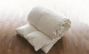 duvet-300x184-1